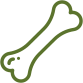 Bone icon
